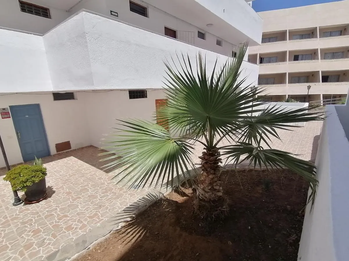 Studio In Parque Cattleya, Playa De Las Americas contacts